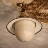 Ceiling with water leak